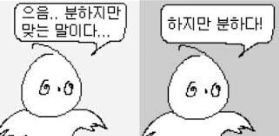 솔직히 역바니는 옷이 아니잖아?_2.jpg