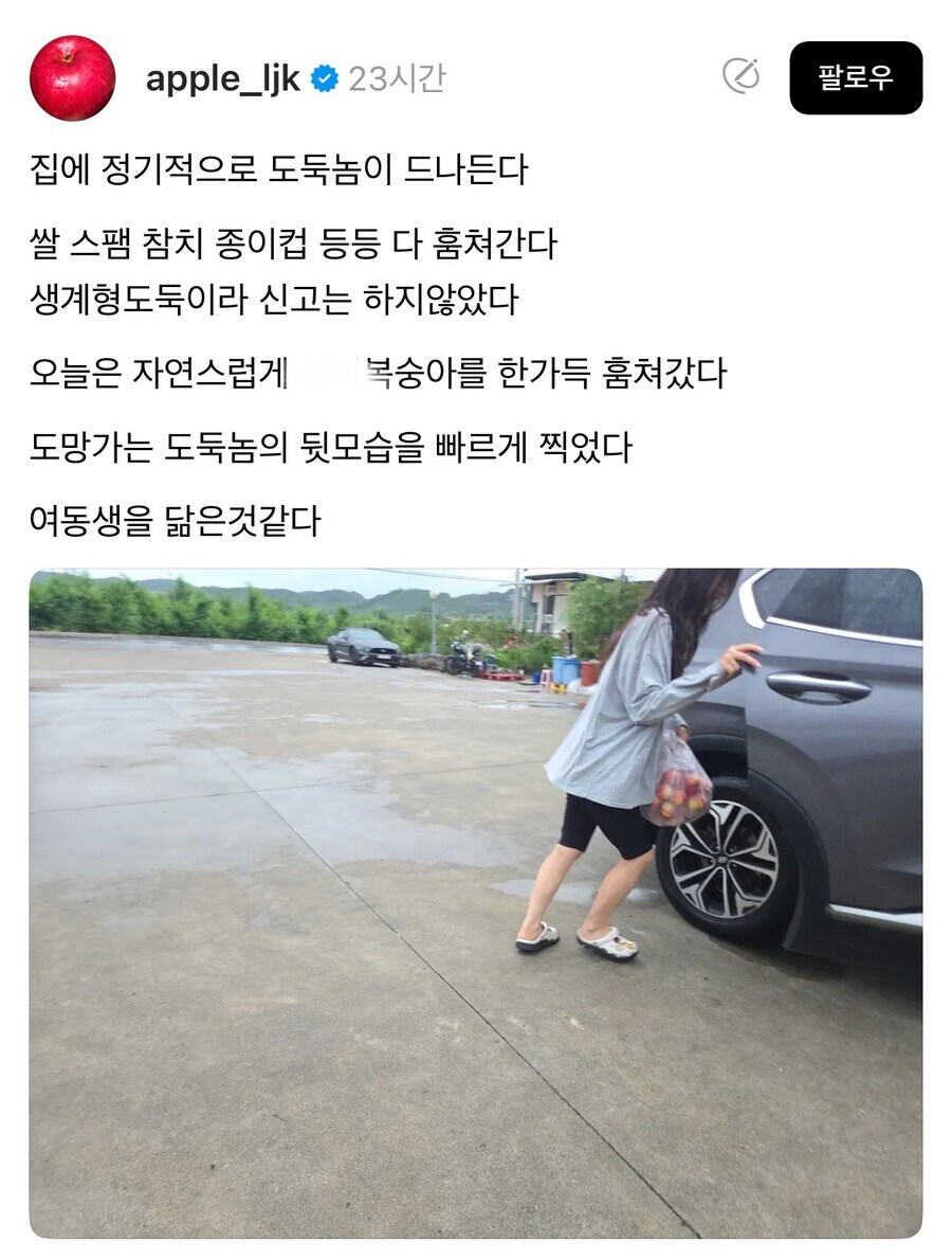 집 털어가는 도둑놈 사진.jpg_1.jpg