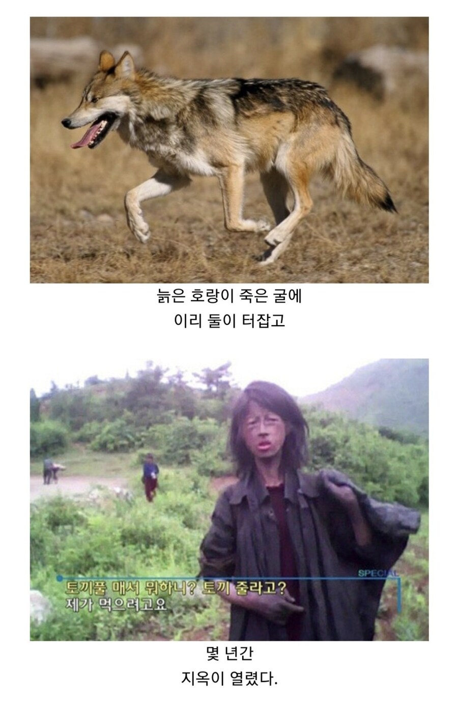 삼국지 동탁 사후에 이각 곽사가 집권한 과정.jpg_20.jpg