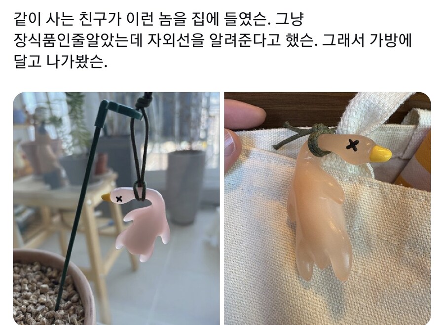 자외선에 반응해 익는 인형_1.jpg