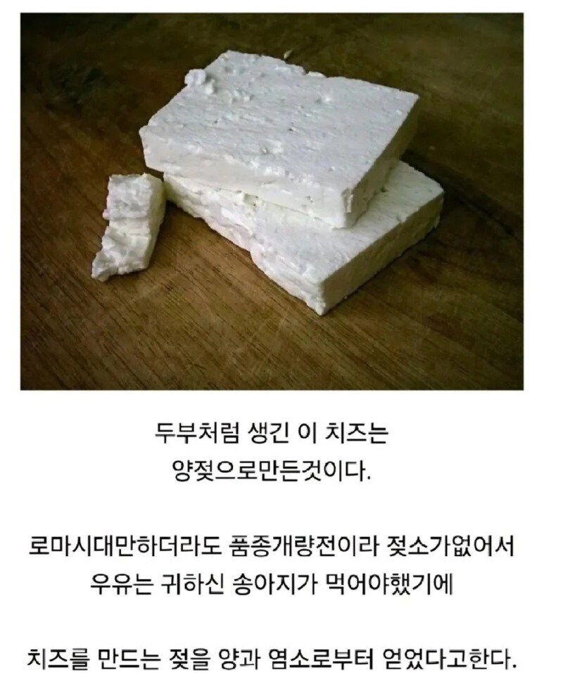 신분역전한 음식들_1.jpg