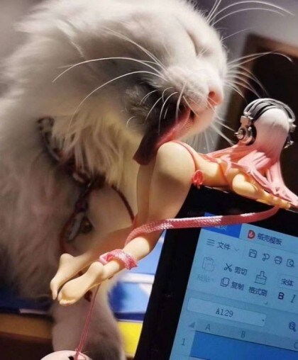 고양이도 즐기는 맛_1.jpg