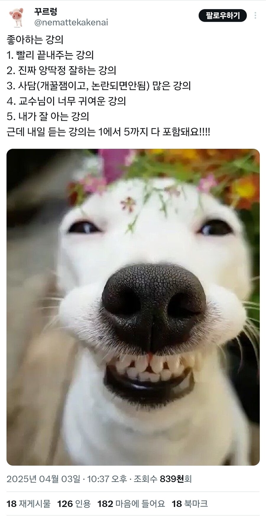 강의가 너무 맘에 들어_1.jpg