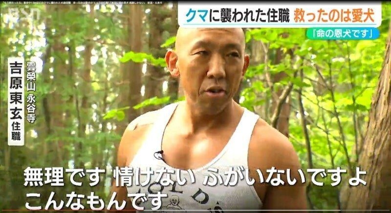 곰에게 습격당한 스님을 구한 댕댕이_2.jpg