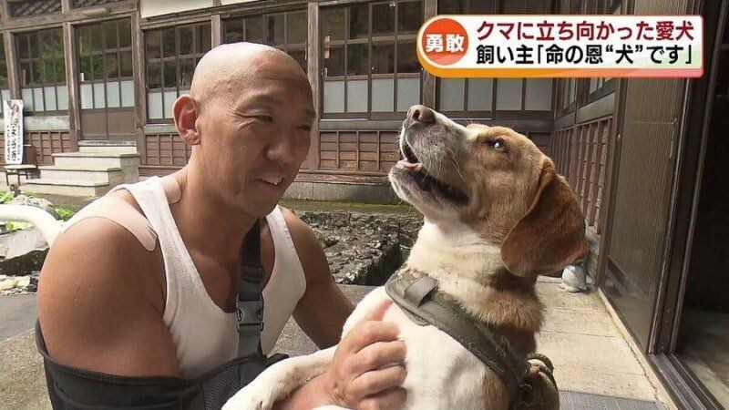 곰에게 습격당한 스님을 구한 댕댕이_3.jpg
