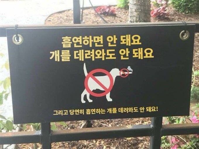 흡연 안돼요 강아지 출입 금지에요_1.jpg