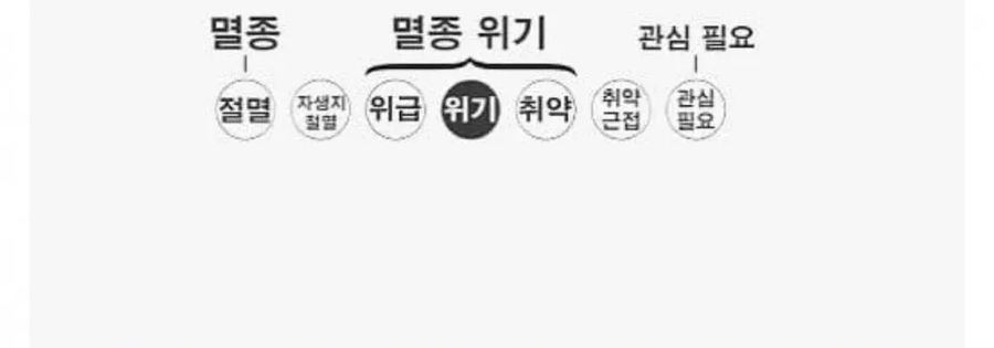 아마도 처음 봤을 수도 있는 희귀동물_1.webp