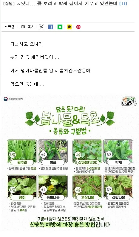 1년 농사 지은거 다 도둑 맞은 시골 청년 jpg_1.webp