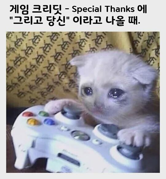 게임 엔딩 크레딧의 감동_1.jpg