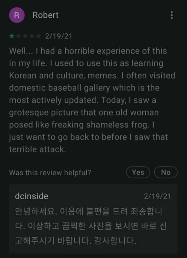 디시를 접한 외국인의 리뷰.jpg_1.jpg