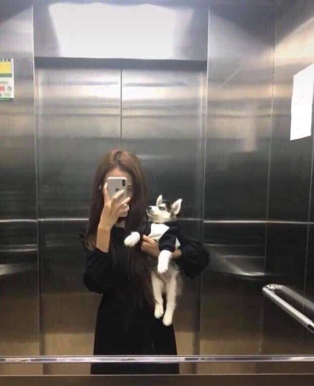 귀여운 멍멍이를 키우고 싶었던 누나_1.jpg