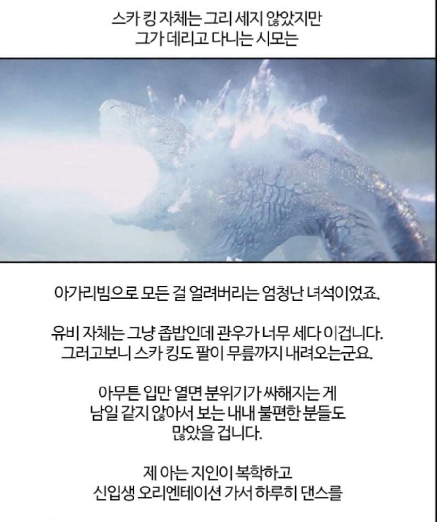 부기영화) 리뷰보다 더 궁금한거_1.jpg