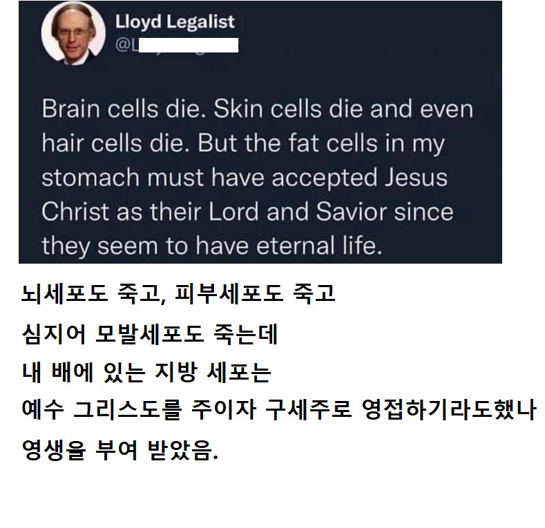 내 지방세포는 예수님을 영접한게 틀림 없다._1.png
