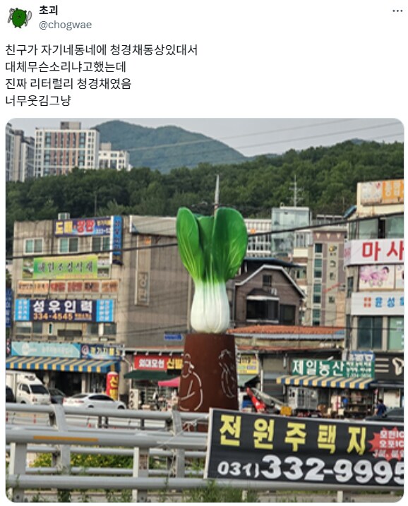 우리 동네에 청경채 동상 있음.jpg_1.png