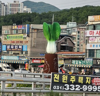 우리 동네에는 청경채 동상 있음_1.png