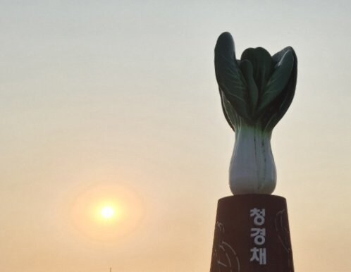 우리 동네에는 청경채 동상 있음_3.jpg
