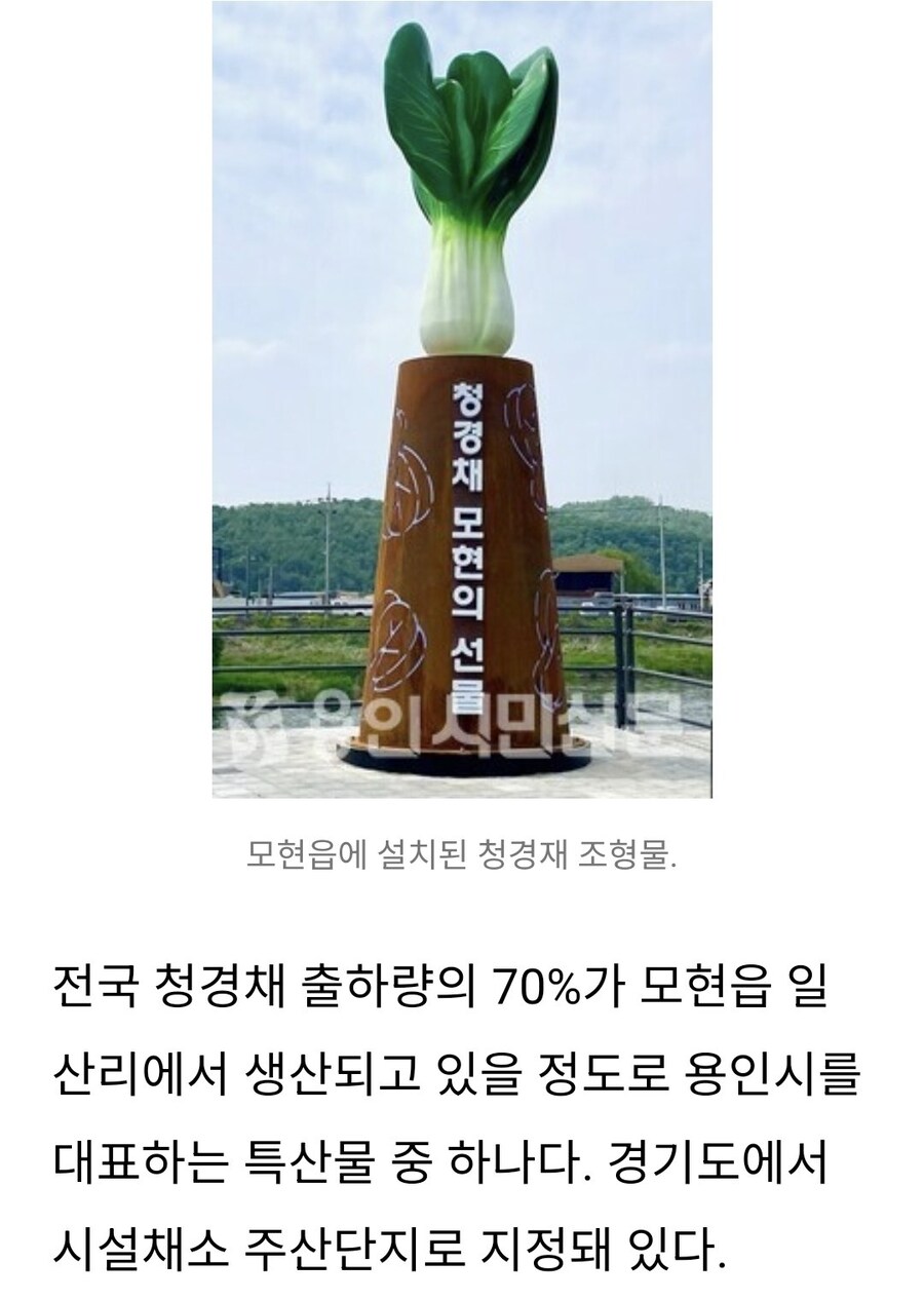 우리 동네에는 청경채 동상 있음_4.jpg
