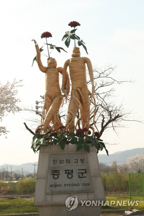 우리 동네에는 청경채 동상 있음_8.jpg