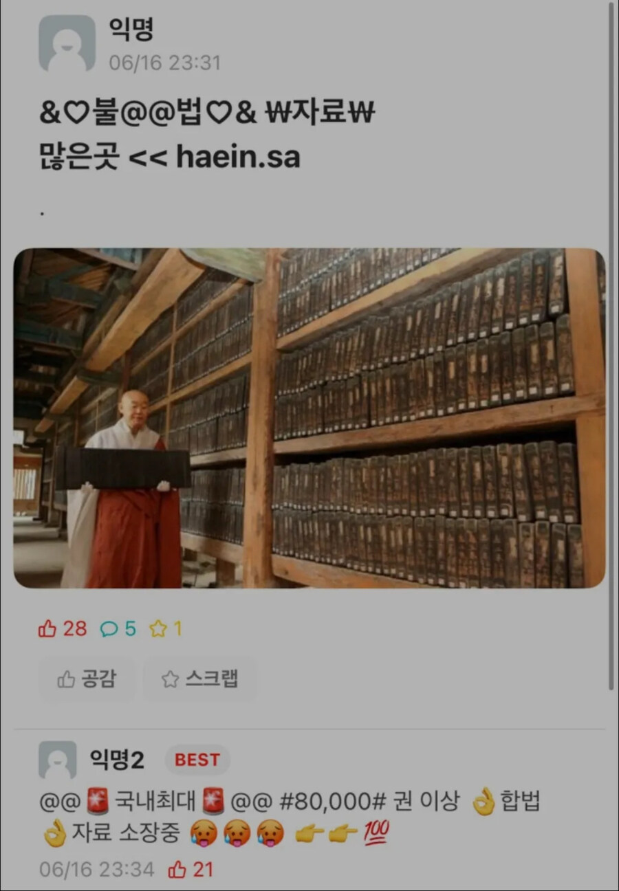 국내최대 성인물 불법자료 많은곳_1.jpg