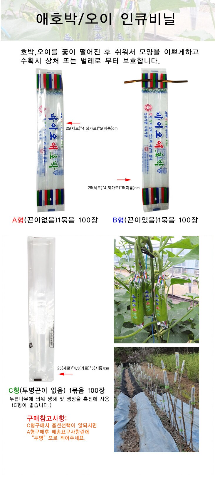 신기한 애호박 재배방법_1.png