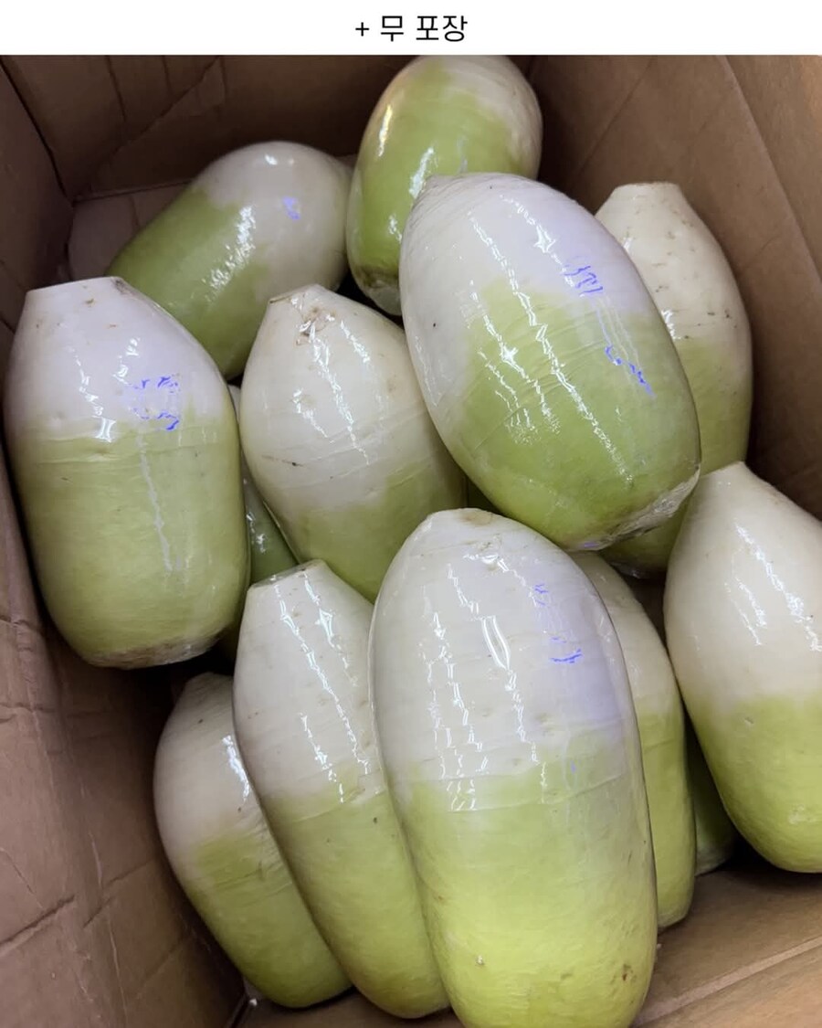 사장님께 칭찬받은 야채코너 포장 알바_3.jpg