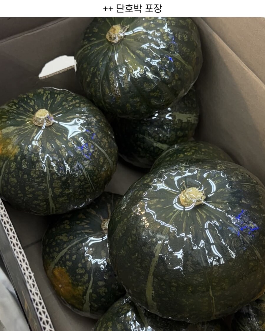 사장님께 칭찬받은 야채코너 포장 알바_4.jpg