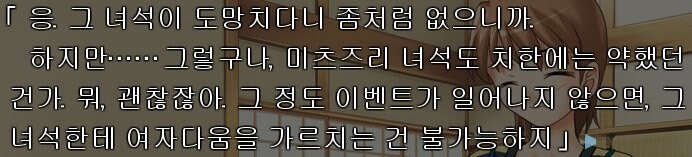 에미야 시로가 정의대신 범죄를 긍정한 최초의 히로인_1.jpg