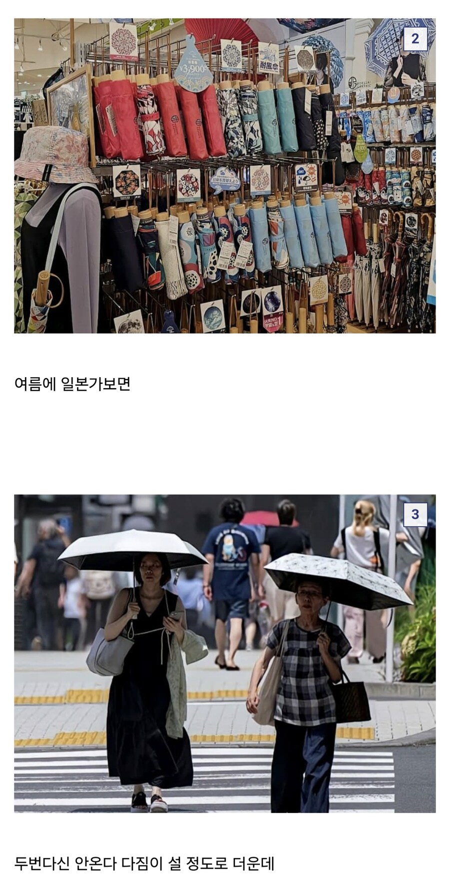 한국 남자들이 배워야 하는 일본 여름 문화.jpg_5.jpg