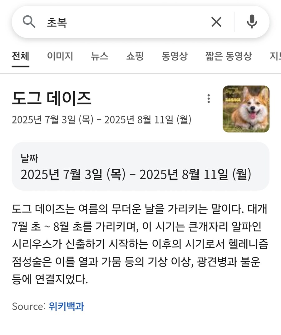 구글에 초복 검색했는데 이게 뭐냐???_1.jpg