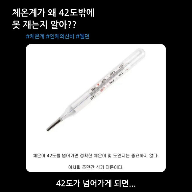 의외로 체온계가 42도밖에 못재는 이유_1.jpg