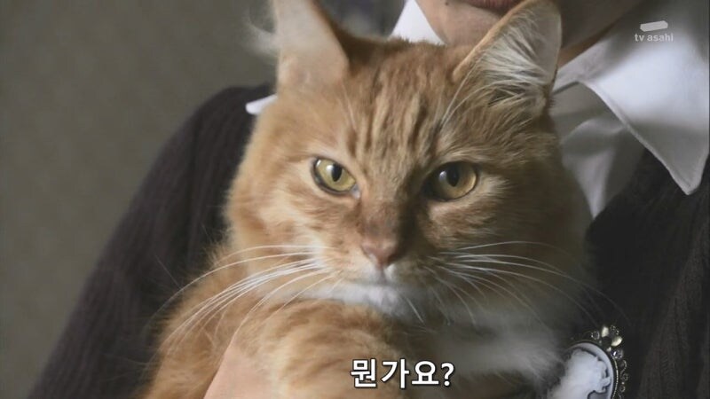 형사들 : 당신의 사생활에 뭐라 할 생각은 없습니다._10.jpg