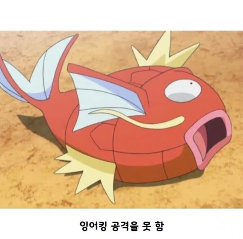 포켓몬 애니 최고의 대결 명장면.jpg_3.jpg