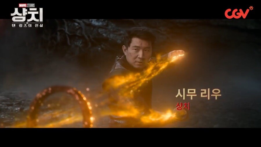 샹치 주연을 비-아시아인이 맡았다면?_1.jpg