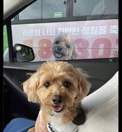 의외로 사업자 아니라도 버스에 광고할 수 있는 거.jpg_2.jpg