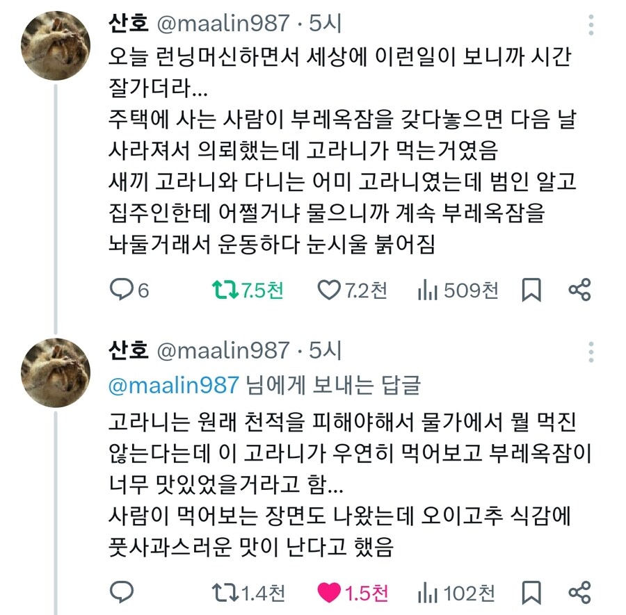 부레옥잠 실종사건.jpg_1.jpg