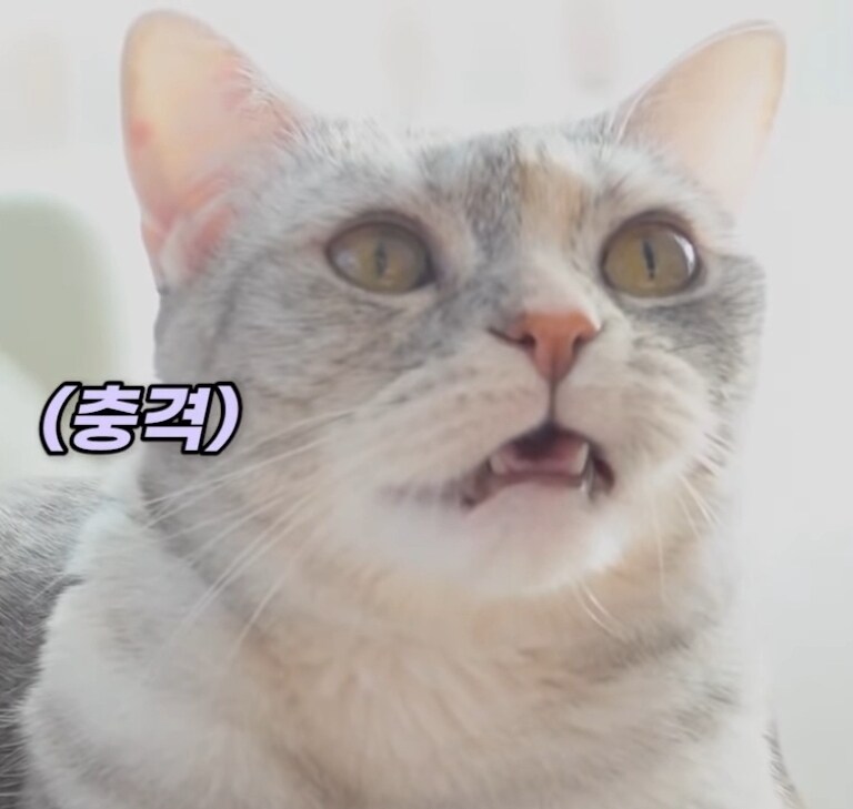 이걸 실제로 실행 한 사람이 있네..;;;_4.jpg