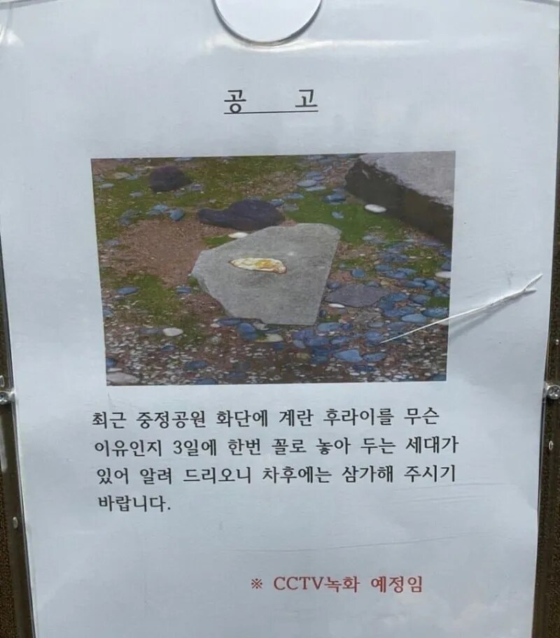 폭염 열풍에 새로운 유행_1.png