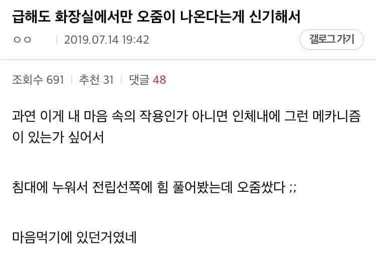 원효대사같은 깨달음을 방에서 얻은 디씨인.jpg_1.webp