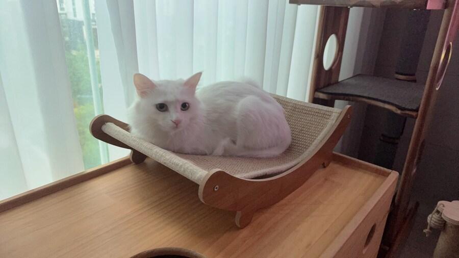 늦은밤이지만 다들 많이 봐주셨으면 합니다_2.jpg