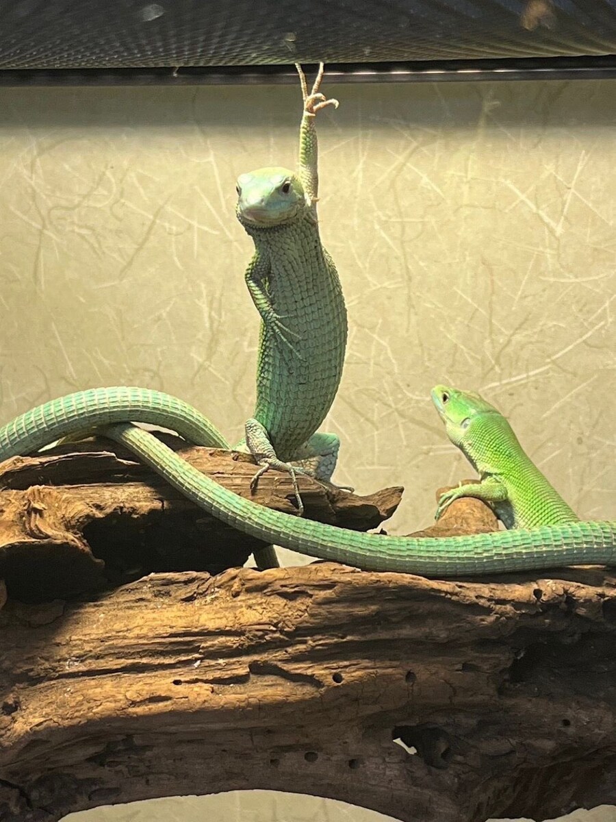 이모 여기 소주 두 병이요_1.jpg