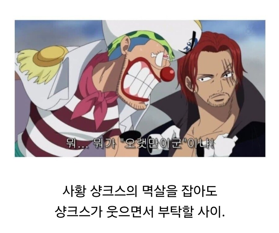 원피스 팩트만 나열한 버기의 위상.jpg_5.jpg