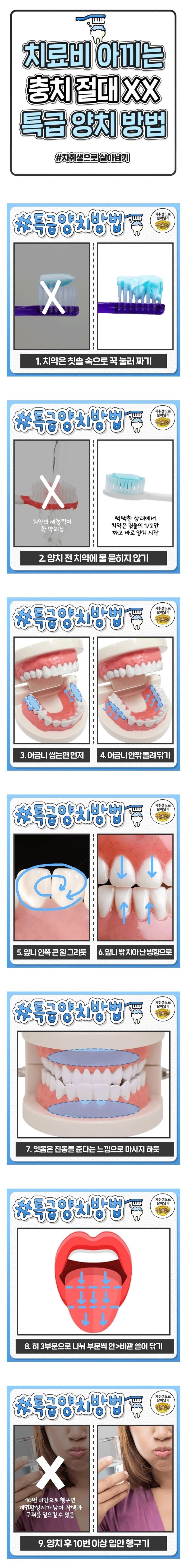 충치 치료비 아끼는 양치 방법.jpg_1.jpg