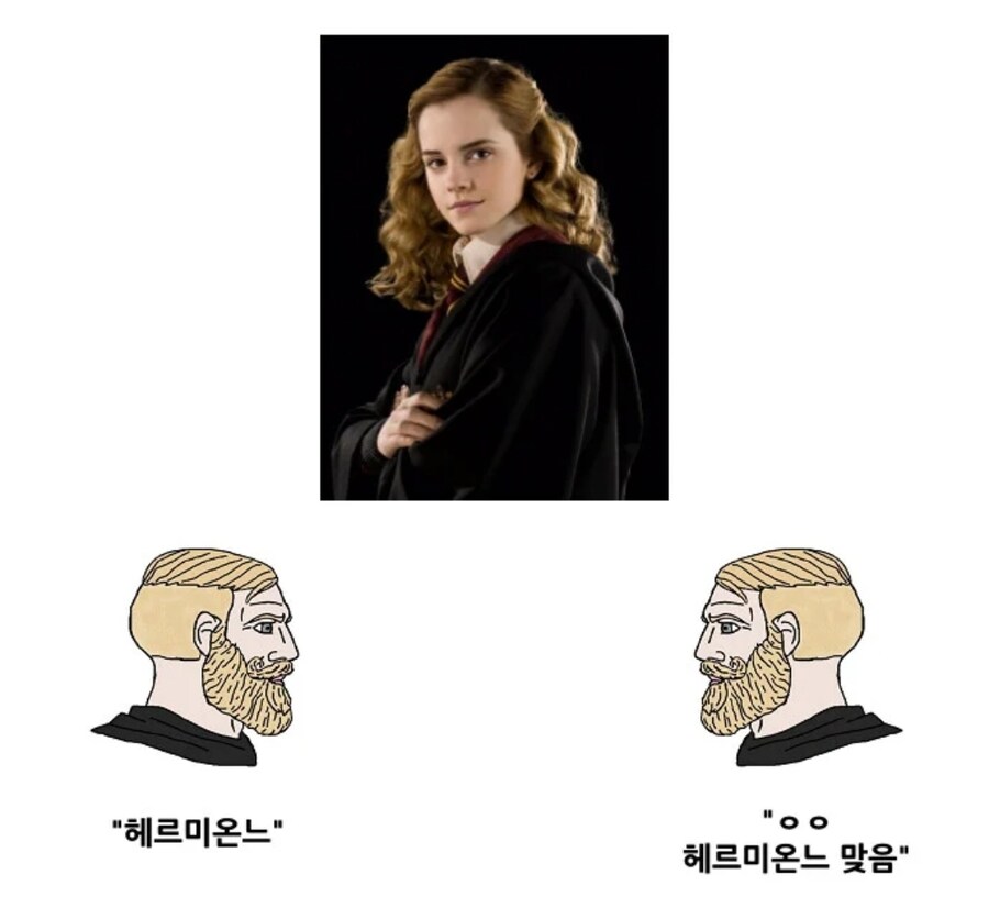 해리포터 역자가 인정한 오역_2.jpg