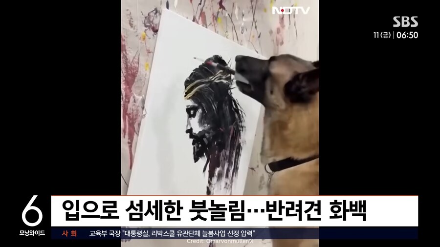 나 개보다 그림 못그리네_1.png