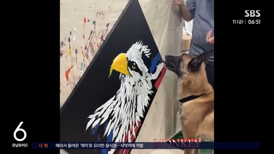 나 개보다 그림 못그리네_2.png