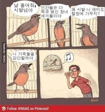 새장속의 작은 새는 언제 집을 나서나_1.jpg