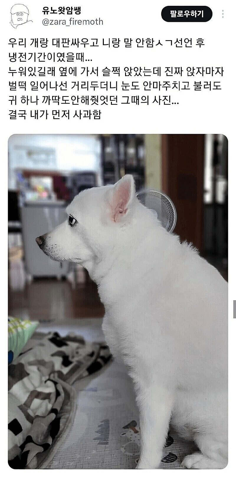 완전 대판 싸우고 개삐진 개.jpg_1.jpg