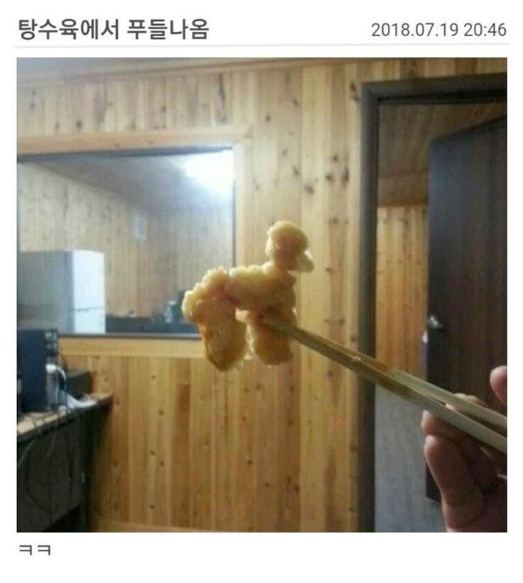 탕수육먹다가 푸들 나온 사람_1.jpg