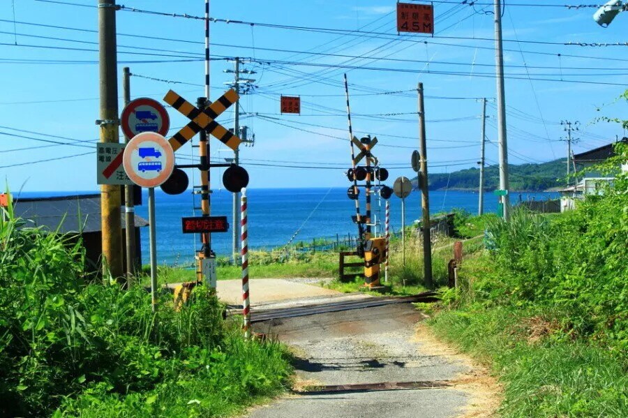 일본 시골 여름 특_2.jpg