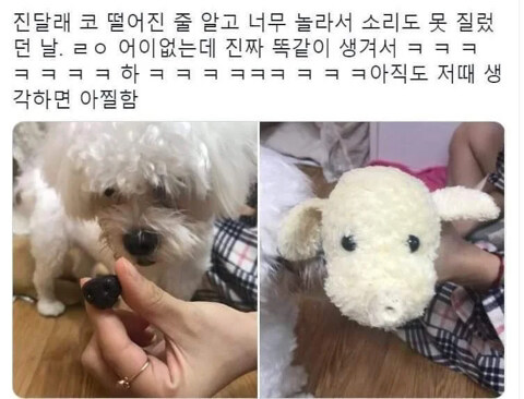 강아지 코 떨어진줄 알고 놀람.JPG_1.jpg